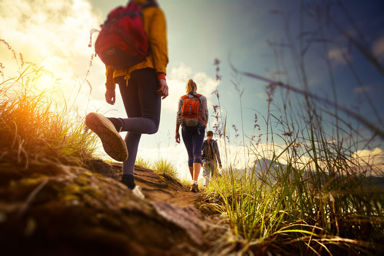 Nachhaltig Wandern: Tipps für umweltfreundliches Wandern