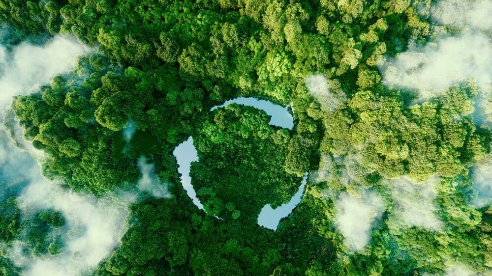 Luftaufnahme eines grünen Waldes mit einer runden Wasserfläche.