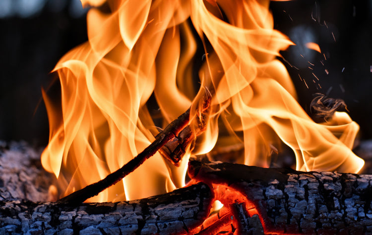 Flammen verschlingen Holzscheite in einem lebhaften Lagerfeuer.