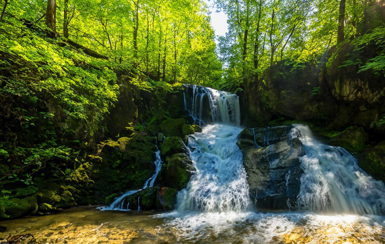 Wasserfall stürzt über felsiges Gelände in einem üppigen grünen Wald.